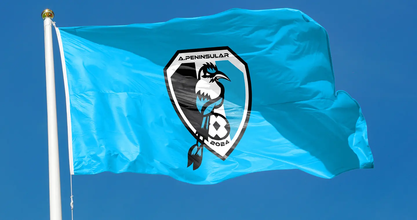 Atlético Peninsular portada